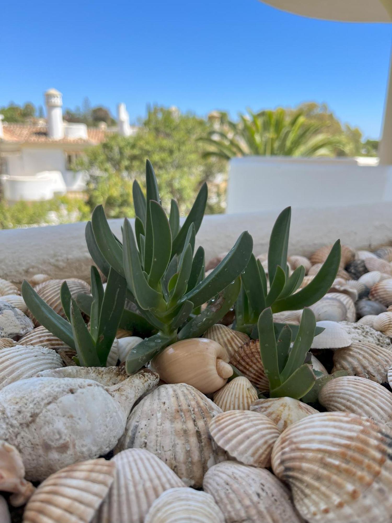 Casadeleon - Costadelsol Vacations & Remote Work Sitio de Calahonda 외부 사진