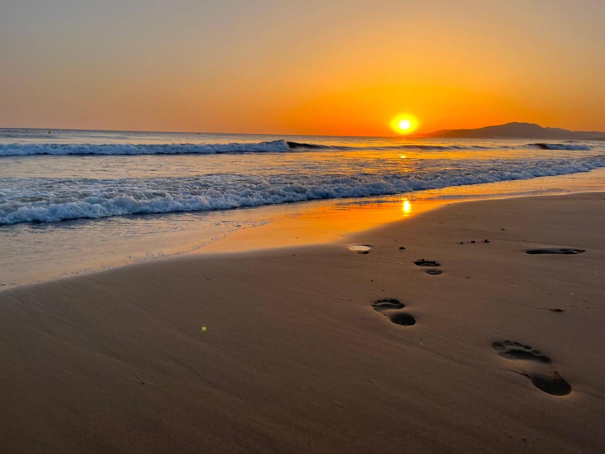 Casadeleon - Costadelsol Vacations & Remote Work Sitio de Calahonda 외부 사진